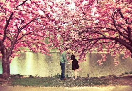 Spring_Memories - trees, water, couple, shoreline