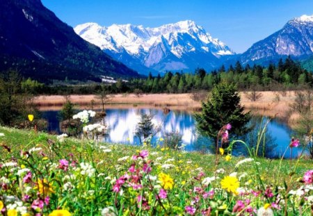 great spring view - flowers, light, water, mountains