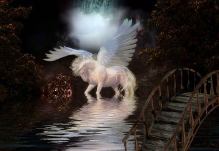 White Magic Pegasus - white, pegasus, fantasy, magic