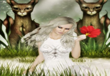 Lady Cat - flowers, cats, fantasy, magic