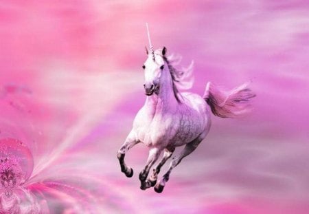 Pink Unicorn - fantasy, pink, heaven, unicorn