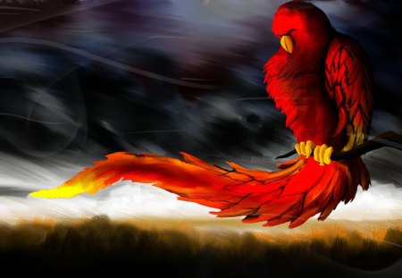 Cold_Phoenix - wings, feathers, bird, red