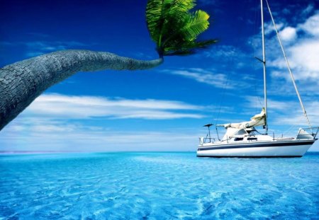 Yacht on the Deep Blue Sea - sail, blue, boat, sea, ocean, tree, palm, yacht