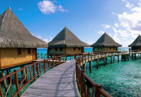 islands-french-polynesia-hotel-kia-lagoon- - islands-french-polynesia-hotel-kia-lagoon- dream, beach, cozy, beautiful, island, bugalow, fiji, cute