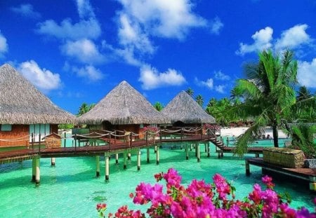 Paradise - nice, sky, beach, tropics, paradise, water, bungalows, clear, crystal, clouds, emerald, holiday, relax, ocean, palm tree, palms, summer, tropical, shore, huts, lovely, exotic, nature, beautiful, rest, breeze, cabin, flowers, sea