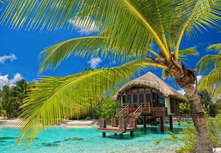 Wedding chapel - hut, cottage, sky, beach, chapel, holiday, relax, bungalow, wedding, ocean, palm tree, summer, shore, cluds, palm, exotic, nature, blue, rest, cabin, sea