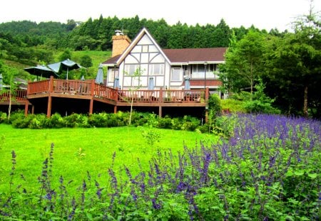 The mountain tourism B & B - lavender, grass, bed and breakfasts, mountain, tourism