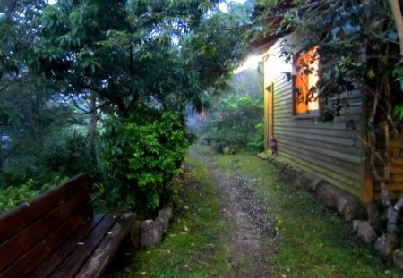 Forest  cabin - forest  cabin, bed and breakfasts, night, light, tourism