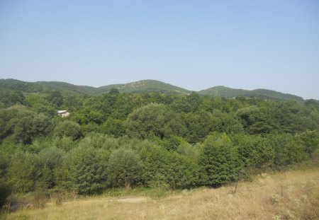 Nature - nature, love, nice, sky, forests