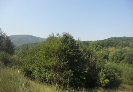 Nature - nature, love, nice, sky, forests