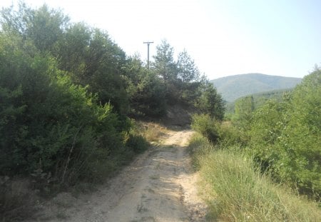 Nature - forests, nature, nice, love, sky