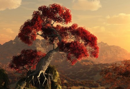 Exotic tree - nature, tree, art, sunset