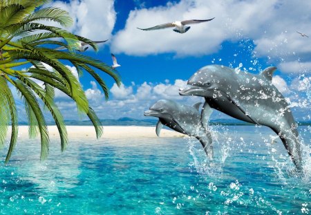 Dolphins Sea Dance - palm, happy, beach, rest, ocean, tropicfal, vacation, tropics, tropcial, fun, tree, birds, dolphins, sea gulls, water, bay, play, blue, serene, sky, sand, clouds, sea, waves