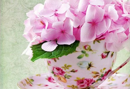 flowers - flowers, porcelain, pink, cup