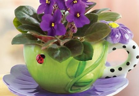 still life - violets, saucer, porcelain, cup