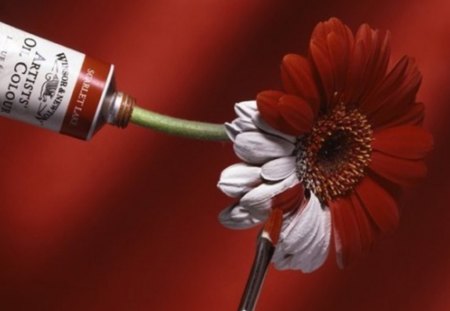 artistic - paint, tube, flower, red