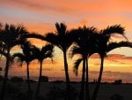 sunset in clearwater,beach