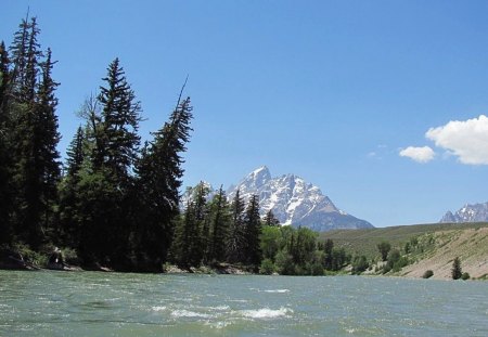 Snake River in the spring - snake river, yellowstone, spring, river