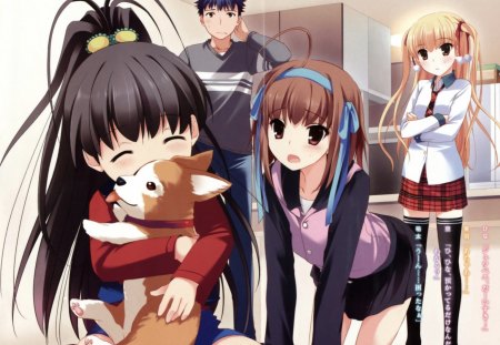 Papa no Iu Koto o Kikinasai! - anime, room, puppy, together