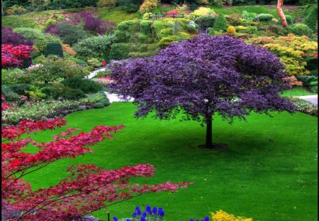 ~The Enchanted Garden~ - nature, tranquil, beautiful, garden, lovely, divine