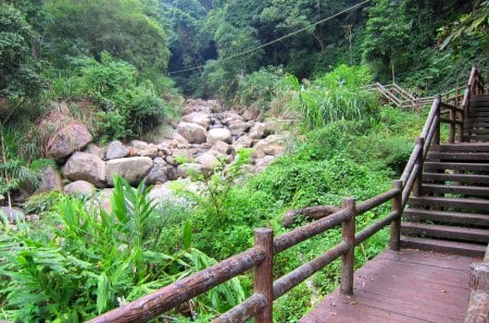 forest trails - forest, rocks, trails, valley