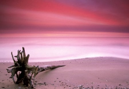 Shades of Pink Over Sand - nature, beach, sand, sun