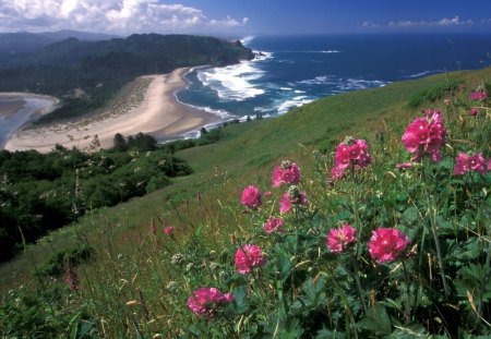 Looking Over the Beach - ocean, sand, nature, beaches