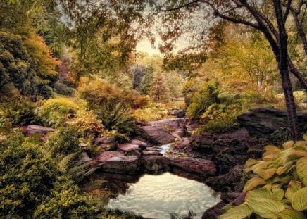 Autumn Garden - shrubs, greenery, water, stones, trees