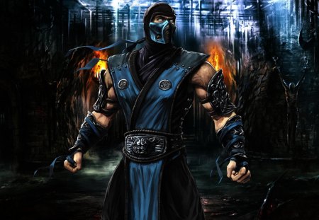 Sub Zero - games, mask, mortal kombat, fighter, video games, sub zero