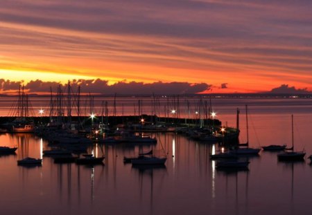 Safely Anchored. - all, are, the, boats