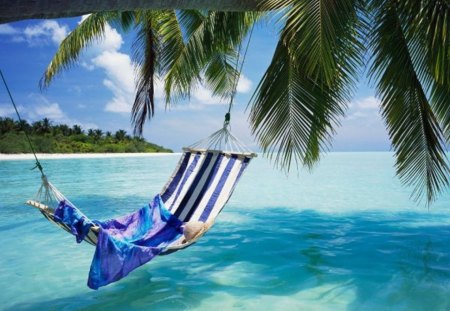 Relaxing Sunday - hat, relax, water, weekend, beach, hammock, sea, sunday, ocean, hot summer day, sky, palm tree