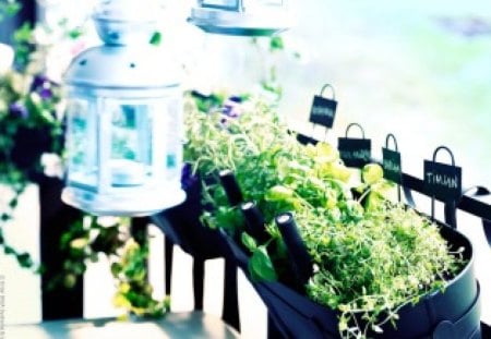 Summer day in the balconyâ™¥ - fresh, fashion, summer, entertainment, balcony, light blue, lanterns, green, sunny, flowers