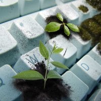 KEYBOARD GARDENING