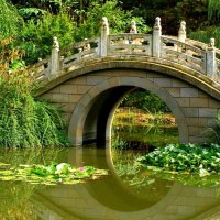 Stone bridge over the pond