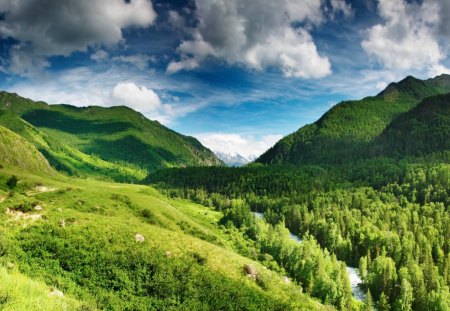 Landscape - nature, green, landscape, grass