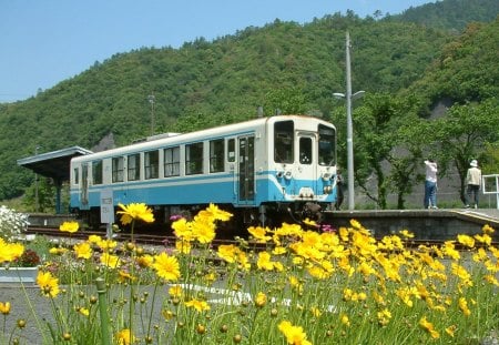 CATCHING THE BLUE BUS - hills, coaches, yellow, people, flowers, vehicles, daisies, trains, transport, train route, railways, train stations, roads, trees, cosmos, dandelions, stop, railroads