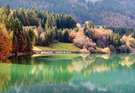 Lake - lake, forest, nature, other