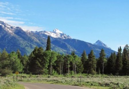 Grand Tetons - nature, mountains, west, forest