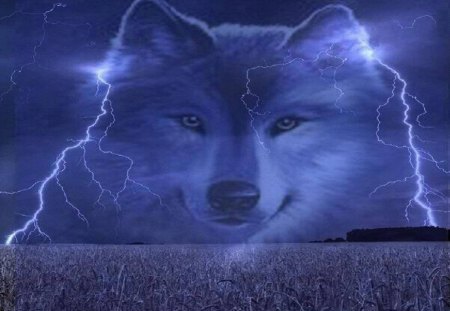 Lightening Wolf - wolf, abstract, animal, field, fantasy, lightening