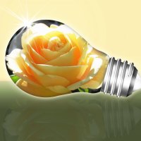 â™¥ Light Bulb With Rose â™¥