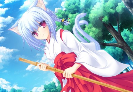 Hina Kyriuu - neko koi, anime, anime girl, hina kyriuu, miko, cat, kitty