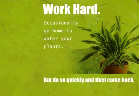 DESKTOP NEXUS SYNDROME - decor, plants, wallpapers, potplants, quotes, computer, work, green