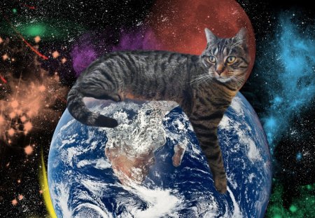 WORLD TAKE-OVER - tabby, sky, universe, planets, animals, cats, space, earth