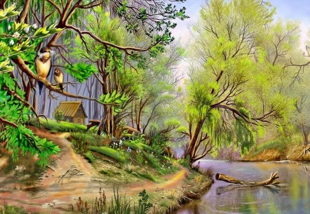 Oil painting - nature, forest, birds, river