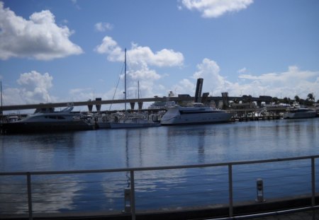 Miami Florida!! - boats, city, people, miami