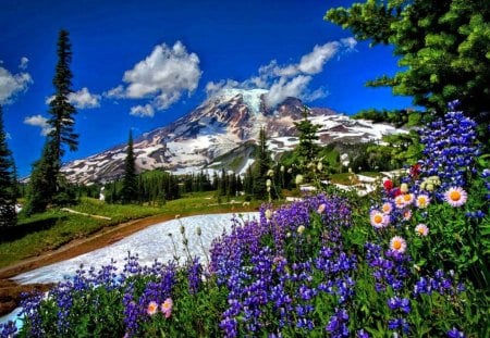 Mountain paradise - snowy, summer, beautiful, fresh, nature, mountain, colorful, paradise, flowers, blue, sky, sunny, hill, peaks, freshness, nice, clouds, slopes, lovely