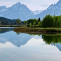 Mountains and Trees