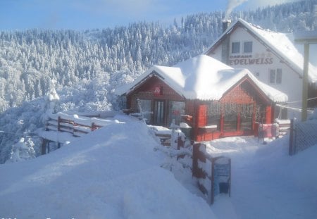 Winter in Romania Hunedoara beautiful romanian landscapes pictures - romania pictures, romenia, romanians, winter landscape, most beautiful countries, carpathian mountains, roumanie