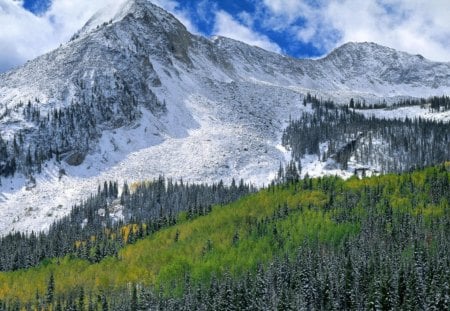 gunnison national forest - snow, clouds, mountain, foerst