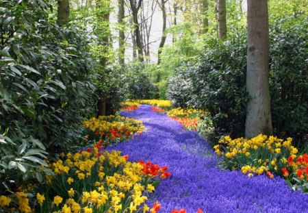 beautiful purple pathway thru the forest - purple, flowers, forest, bushes